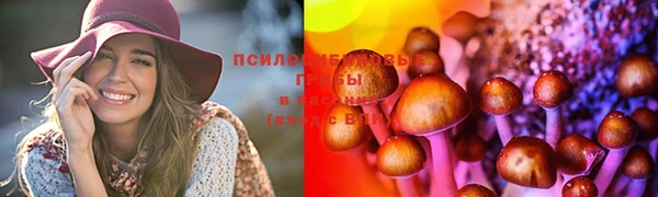 шишки Алзамай